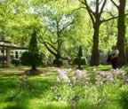 HydePark.jpg (13kb)