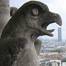 Notre Dame gargoyle 