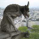 Notre Dame gargoyle 